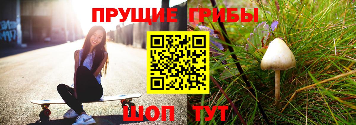 Псилоцибиновые грибы прущие грибы Сибай